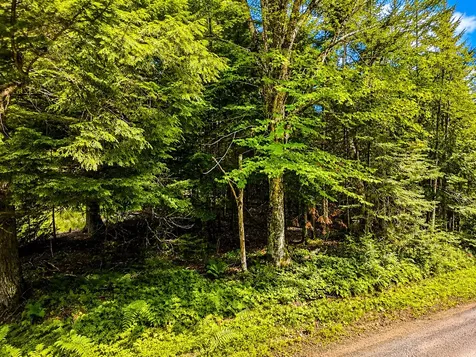 Lot 4 Stateline Lake Road Marenisco MI 49947