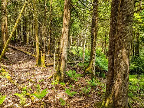 Lot 4 Stateline Lake Road Marenisco MI 49947