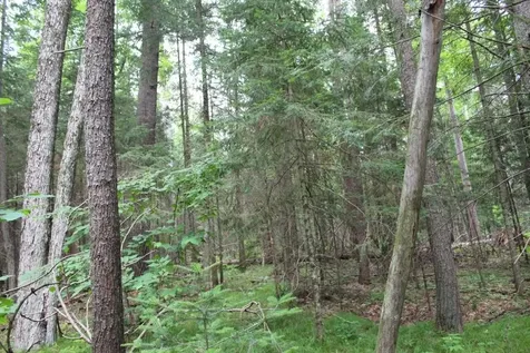 N12052 Post Lake Drive N Elcho WI 54428