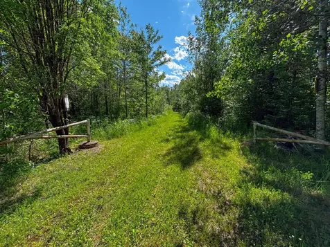 38.93 On Piela Lane White Lake WI 54491