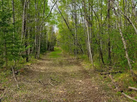 38.93 On Piela Lane White Lake WI 54491