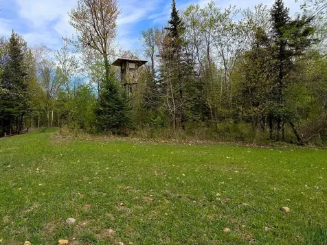 38.93 On Piela Lane White Lake WI 54491