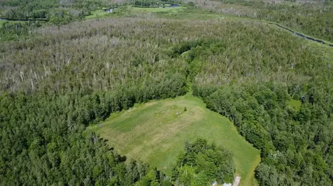 38.93 On Piela Lane White Lake WI 54491