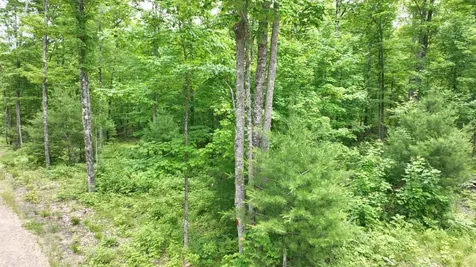 5 Ac Timbercrest Way Conover WI 54519
