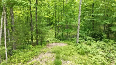 5 Ac Timbercrest Way Conover WI 54519