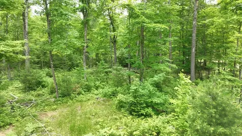 5 Ac Timbercrest Way Conover WI 54519
