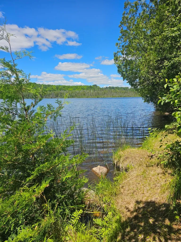1441 Range Line Lake Lane Wabeno WI 54566