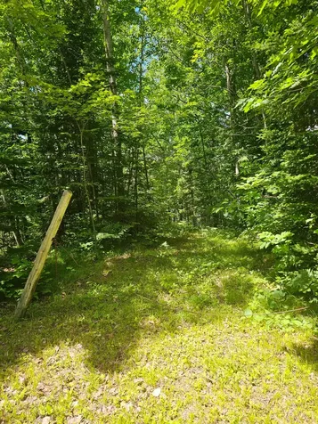 1441 Range Line Lake Lane Wabeno WI 54566