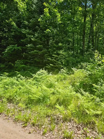 1441 Range Line Lake Lane Wabeno WI 54566