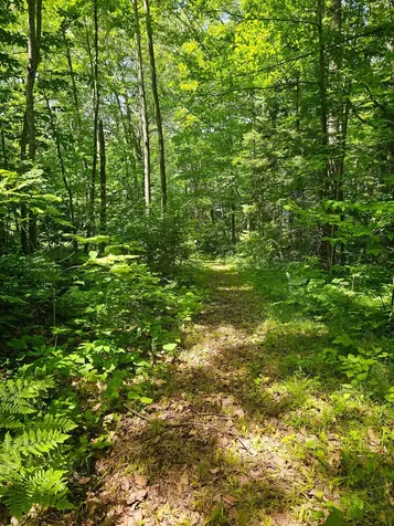 1441 Range Line Lake Lane Wabeno WI 54566