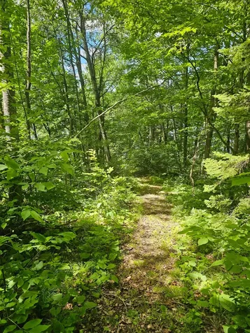 1441 Range Line Lake Lane Wabeno WI 54566