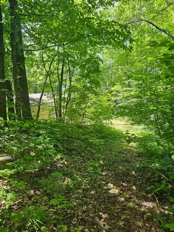 1441 Range Line Lake Lane Wabeno WI 54566