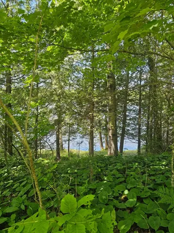 1441 Range Line Lake Lane Wabeno WI 54566