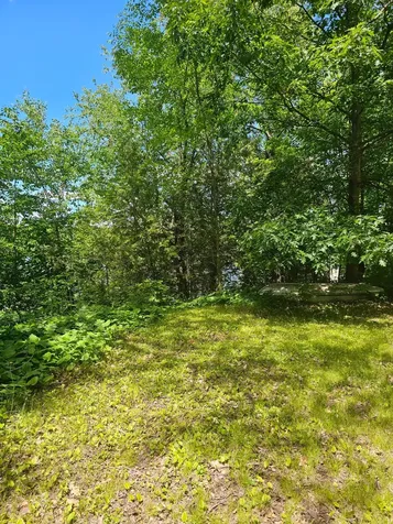1441 Range Line Lake Lane Wabeno WI 54566