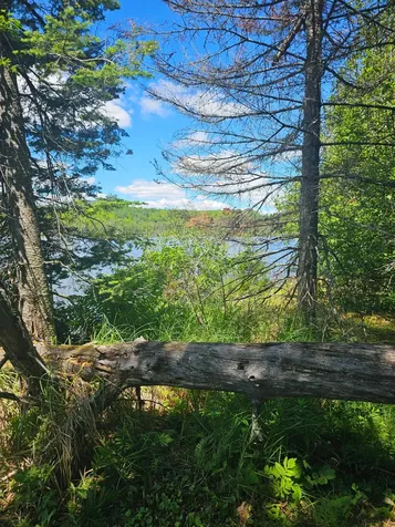 1441 Range Line Lake Lane Wabeno WI 54566