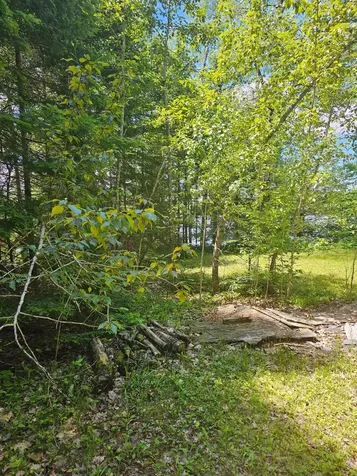 1441 Range Line Lake Lane Wabeno WI 54566