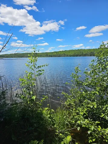 1441 Range Line Lake Lane Wabeno WI 54566