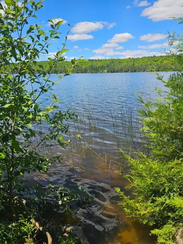1441 Range Line Lake Lane Wabeno WI 54566