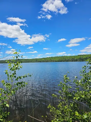 1441 Range Line Lake Lane Wabeno WI 54566