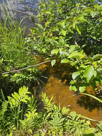 1441 Range Line Lake Lane Wabeno WI 54566