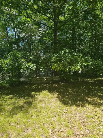 1441 Range Line Lake Lane Wabeno WI 54566