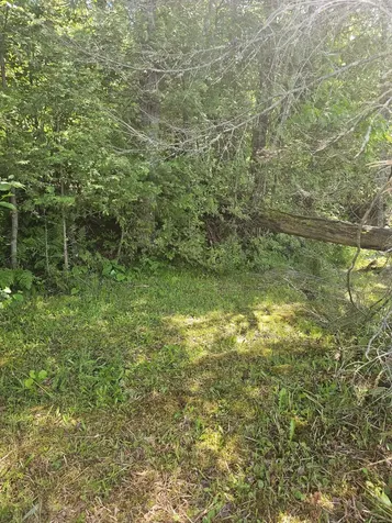1441 Range Line Lake Lane Wabeno WI 54566