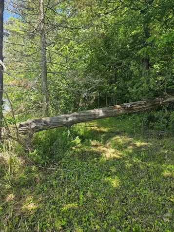 1441 Range Line Lake Lane Wabeno WI 54566