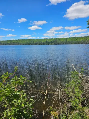 1441 Range Line Lake Lane Wabeno WI 54566