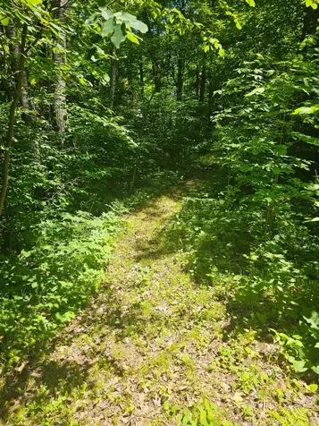 1441 Range Line Lake Lane Wabeno WI 54566