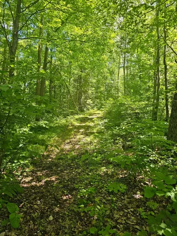 1441 Range Line Lake Lane Wabeno WI 54566