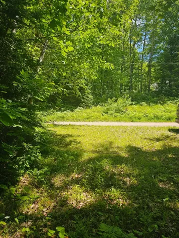 1441 Range Line Lake Lane Wabeno WI 54566
