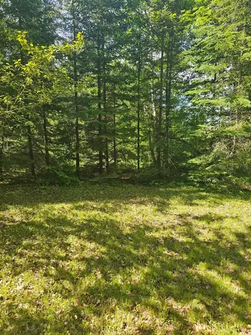 1441 Range Line Lake Lane Wabeno WI 54566