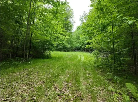 6274 Camp 6 Loop Road Armstrong Creek WI 54125