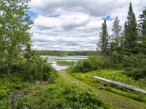 104 Hagerman Lake Road N Iron River MI 49935