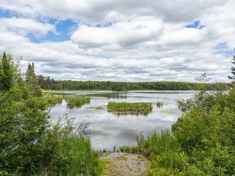 104 Hagerman Lake Road N Iron River MI 49935