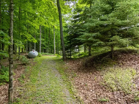104 Hagerman Lake Road N Iron River MI 49935