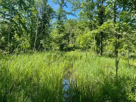 On Shawano Line Road WI 54124