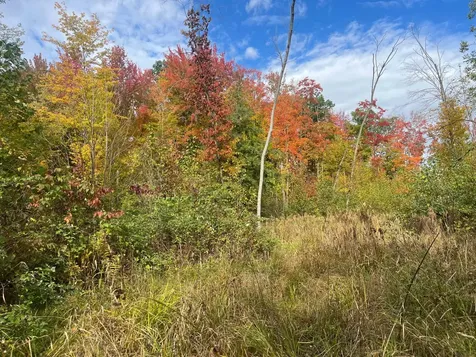On Shawano Line Road WI 54124