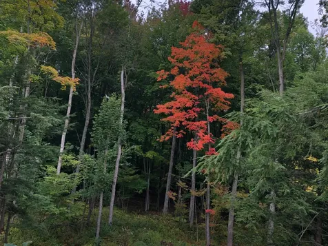 On Shawano Line Road WI 54124