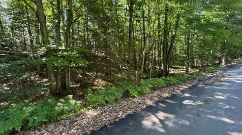 Lot A Luebbing Road Three Lakes WI 54562