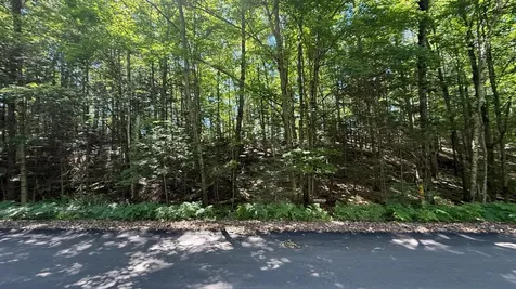 Lot A Luebbing Road Three Lakes WI 54562