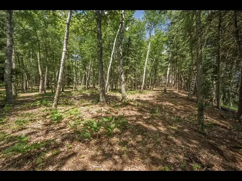 142-144 Kindling Point Eagle River WI 54521