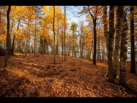 142-144 Kindling Point Eagle River WI 54521