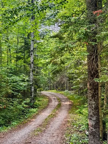 7867 Armour Road E Presque Isle WI 54557