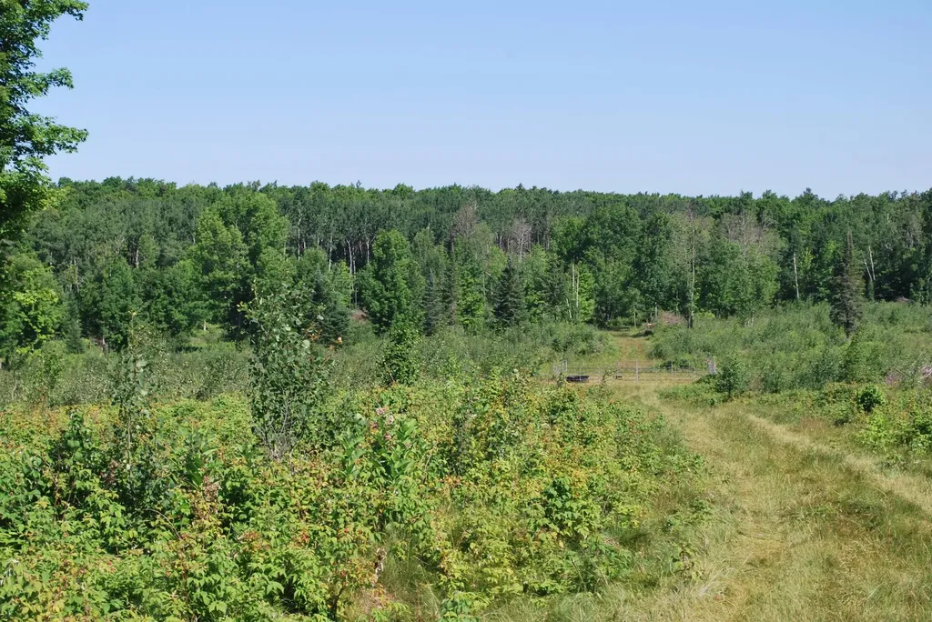 Near Cth S Crandon WI 54520