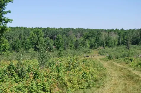 Near Cth S Crandon WI 54520