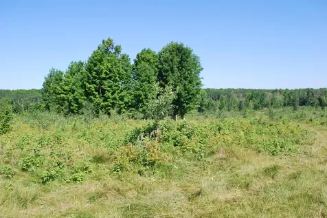 Near Cth S Crandon WI 54520