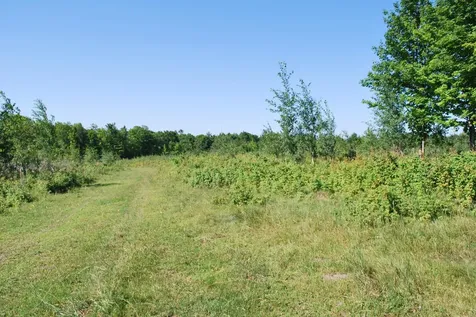 Near Cth S Crandon WI 54520