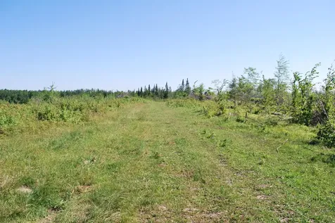 Near Cth S Crandon WI 54520