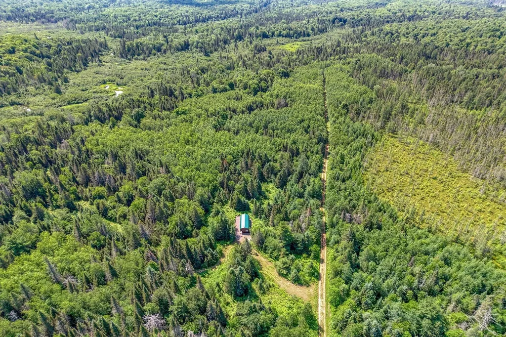 6881E Forest Road Marenisco MI 49947